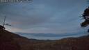 ./images/calvert/fitz-hugh-hecate/20260821/fitz-hugh-hecate20260821_211002M.jpg