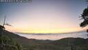 ./images/calvert/fitz-hugh-hecate/20260822/fitz-hugh-hecate20260822_061501M.jpg