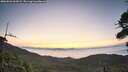 ./images/calvert/fitz-hugh-hecate/20260822/fitz-hugh-hecate20260822_062001M.jpg