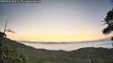 ./images/calvert/fitz-hugh-hecate/20260822/fitz-hugh-hecate20260822_063501M.jpg