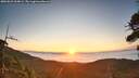 ./images/calvert/fitz-hugh-hecate/20260822/fitz-hugh-hecate20260822_064001M.jpg