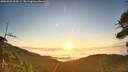 ./images/calvert/fitz-hugh-hecate/20260822/fitz-hugh-hecate20260822_065001M.jpg