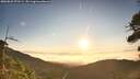 ./images/calvert/fitz-hugh-hecate/20260822/fitz-hugh-hecate20260822_072501M.jpg
