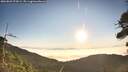 ./images/calvert/fitz-hugh-hecate/20260822/fitz-hugh-hecate20260822_074501M.jpg