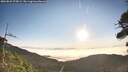 ./images/calvert/fitz-hugh-hecate/20260822/fitz-hugh-hecate20260822_075001M.jpg