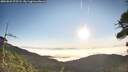 ./images/calvert/fitz-hugh-hecate/20260822/fitz-hugh-hecate20260822_075502M.jpg