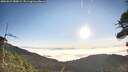 ./images/calvert/fitz-hugh-hecate/20260822/fitz-hugh-hecate20260822_080001M.jpg