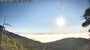 ./images/calvert/fitz-hugh-hecate/20260822/fitz-hugh-hecate20260822_080501M.jpg