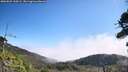 ./images/calvert/fitz-hugh-hecate/20260822/fitz-hugh-hecate20260822_110501M.jpg