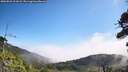 ./images/calvert/fitz-hugh-hecate/20260822/fitz-hugh-hecate20260822_111002M.jpg