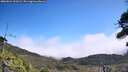 ./images/calvert/fitz-hugh-hecate/20260822/fitz-hugh-hecate20260822_120501M.jpg
