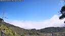 ./images/calvert/fitz-hugh-hecate/20260822/fitz-hugh-hecate20260822_121001M.jpg