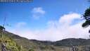 ./images/calvert/fitz-hugh-hecate/20260822/fitz-hugh-hecate20260822_122001M.jpg