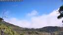 ./images/calvert/fitz-hugh-hecate/20260822/fitz-hugh-hecate20260822_122501M.jpg