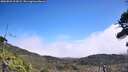 ./images/calvert/fitz-hugh-hecate/20260822/fitz-hugh-hecate20260822_123001M.jpg