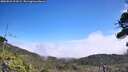 ./images/calvert/fitz-hugh-hecate/20260822/fitz-hugh-hecate20260822_124501M.jpg