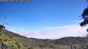 ./images/calvert/fitz-hugh-hecate/20260822/fitz-hugh-hecate20260822_125002M.jpg