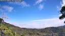 ./images/calvert/fitz-hugh-hecate/20260822/fitz-hugh-hecate20260822_130001M.jpg