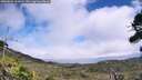 ./images/calvert/fitz-hugh-hecate/20260822/fitz-hugh-hecate20260822_135001M.jpg