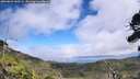 ./images/calvert/fitz-hugh-hecate/20260822/fitz-hugh-hecate20260822_140501M.jpg