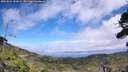 ./images/calvert/fitz-hugh-hecate/20260822/fitz-hugh-hecate20260822_141002M.jpg