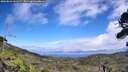 ./images/calvert/fitz-hugh-hecate/20260822/fitz-hugh-hecate20260822_141502M.jpg