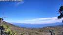 ./images/calvert/fitz-hugh-hecate/20260822/fitz-hugh-hecate20260822_150502M.jpg