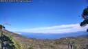 ./images/calvert/fitz-hugh-hecate/20260822/fitz-hugh-hecate20260822_152502M.jpg