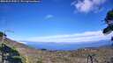 ./images/calvert/fitz-hugh-hecate/20260822/fitz-hugh-hecate20260822_155002M.jpg