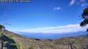./images/calvert/fitz-hugh-hecate/20260822/fitz-hugh-hecate20260822_155501M.jpg