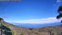./images/calvert/fitz-hugh-hecate/20260822/fitz-hugh-hecate20260822_160002M.jpg
