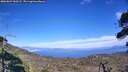 ./images/calvert/fitz-hugh-hecate/20260822/fitz-hugh-hecate20260822_160501M.jpg