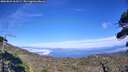 ./images/calvert/fitz-hugh-hecate/20260822/fitz-hugh-hecate20260822_163501M.jpg