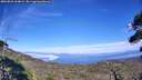 ./images/calvert/fitz-hugh-hecate/20260822/fitz-hugh-hecate20260822_164001M.jpg