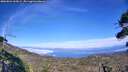 ./images/calvert/fitz-hugh-hecate/20260822/fitz-hugh-hecate20260822_165002M.jpg