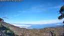 ./images/calvert/fitz-hugh-hecate/20260822/fitz-hugh-hecate20260822_173502M.jpg