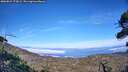 ./images/calvert/fitz-hugh-hecate/20260822/fitz-hugh-hecate20260822_174502M.jpg