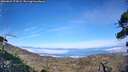 ./images/calvert/fitz-hugh-hecate/20260822/fitz-hugh-hecate20260822_175002M.jpg