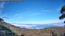 ./images/calvert/fitz-hugh-hecate/20260822/fitz-hugh-hecate20260822_175502M.jpg