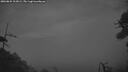 ./images/calvert/fitz-hugh-hecate/20260822/fitz-hugh-hecate20260822_212001M.jpg