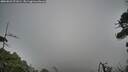 ./images/calvert/fitz-hugh-hecate/20260823/fitz-hugh-hecate20260823_071001M.jpg