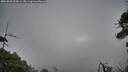 ./images/calvert/fitz-hugh-hecate/20260823/fitz-hugh-hecate20260823_074501M.jpg