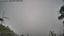 ./images/calvert/fitz-hugh-hecate/20260823/fitz-hugh-hecate20260823_080001M.jpg