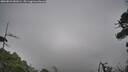 ./images/calvert/fitz-hugh-hecate/20260823/fitz-hugh-hecate20260823_081002M.jpg