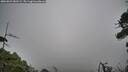 ./images/calvert/fitz-hugh-hecate/20260823/fitz-hugh-hecate20260823_082501M.jpg