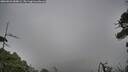 ./images/calvert/fitz-hugh-hecate/20260823/fitz-hugh-hecate20260823_084001M.jpg