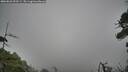 ./images/calvert/fitz-hugh-hecate/20260823/fitz-hugh-hecate20260823_092501M.jpg