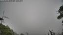 ./images/calvert/fitz-hugh-hecate/20260823/fitz-hugh-hecate20260823_093001M.jpg