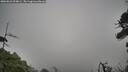 ./images/calvert/fitz-hugh-hecate/20260823/fitz-hugh-hecate20260823_094001M.jpg