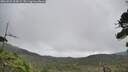 ./images/calvert/fitz-hugh-hecate/20260823/fitz-hugh-hecate20260823_104502M.jpg
